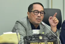 Percepat Pelaksanaan Putusan MK, DPR Dorong Presiden Prabowo Terbitkan Perppu