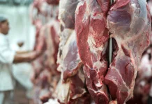 Harga Daging Sapi Stabil jelang Lebaran, Berpotensi Naik Setelahnya