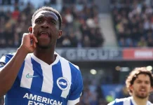 Dua Gol Welbeck Antarkan Brighton Tundukkan Liverpool 2-1