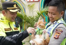 'Polisi Kucing' Polres Bogor Curi Perhatian Saat Patroli Arus Mudik Lebaran