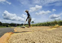 Pemerintah Bersyukur Pasokan Pangan Mencukupi dan Harga Terjangkau