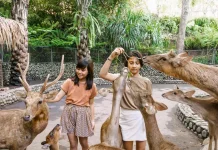 Bali Zoo Catat Lonjakan Kunjungan saat Lebaran