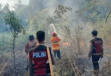 BMKG Deteksi Titik Panas dan Gelombang Tinggi di Sumut