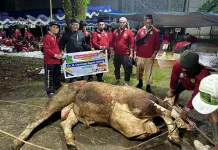 Mengulas Makna, Hikmah, hingga Sejarah Iduladha Terkait Nabi Ibrahim AS