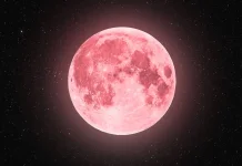 Fenomena 'Pink Moon' Akan Hiasi Langit Malam, Begini Asal Usulnya