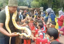 Arus Balik Lebaran 2026, Wisata dan Ruang Publik Solo Dipadati Pemudik