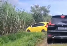 Sejumlah Mobil Pemudik Tersesat di Persawahan Diduga Ikuti Arahan Navigasi
