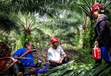 GAPKI: Industri Sawit Berkomitmen Wujudkan Kesetaraan bagi Perempuan Pekerja