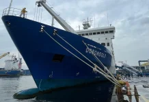 PELNI Catat Lonjakan Arus Balik Lebaran di Pelabuhan Tanjung Priok