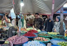 Bapanas Pastikan Harga dan Pasokan Pangan Stabil Pascalebaran