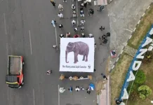 Gerakan Earth Hour 2026: Menginspirasi Dunia untuk Segera Lakukan Transisi Energi