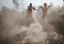 Kemenhut Intensifkan Pengendalian Karhutla di Riau, 266 Titik Panas Terpantau