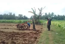 Konflik Timur Tengah, Komisi IV DPR Wanti-Wanti Harga Pupuk Nasional Meroket