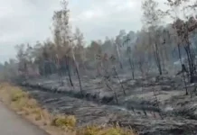 Hotspot Menurun, BPBD Natuna Siapkan Water Bombing