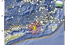 Gempa Magnitudo 5,1 Guncang Laut Banda, Tidak Berpotensi Tsunami