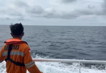 Kapal Nazila 05 Tenggelam di Perairan Maluku Utara, 27 ABK Masih Dicari