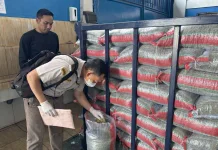 Kacang Hijau RI Lolos Karantina, Siap Ekspor ke China Senilai Rp1,4 Miliar