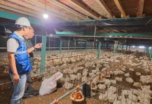 Pemerintah Tidak Naikkan Tarif Listrik di Triwulan II 2026, PLN Siap Jaga Keandalan