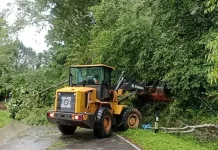 Longsor Tutup Jalur Padang-Medan, Akses Sempat Lumpuh