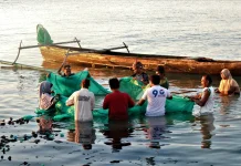 Kampung Nelayan Targetkan Produksi 2,15 Juta Ton Ikan, Perkuat Ekonomi Desa