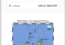 BMKG: Tsunami Teramati di Beberapa Wilayah Pesisir Pascagempa M 7,6