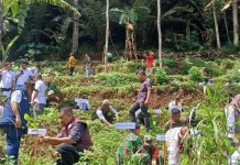 DPR: Peningkatan Deforestasi Sinyal Bahaya Masa Depan Lingkungan Indonesia