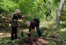 Kemenhut Diminta Berani Tegakan Hukum untuk Pelaku Deforestasi Ilegal