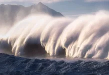 Tak Semua Gempa Picu Tsunami, Ketahui Syarat Terjadinya Gelombang Raksasa di Laut