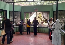 Libur Panjang, Taman Margasatwa Ragunan Jadi Salah Satu Destinasi Wisata Pilihan