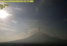 Aktivitas Meningkat, Gunung Semeru Masih Berstatus Siaga