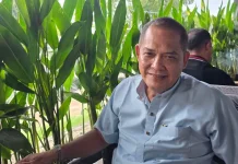 Soal DJBC, Perluasan Penelusuran Dinilai Jadi Kunci