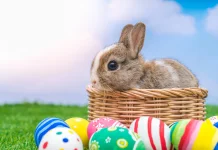 Asal Usul Kelinci Paskah, dari Folklor Eropa hingga Tradisi Dunia
