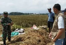 Pemerintah: Ketahanan Pangan Dijamin Aman di tengah Gejolak Timteng