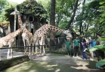 Momen Seskab Teddy Kunjungi Ragunan, Habiskan Akhir Pekan dan Menyapa Pengunjung