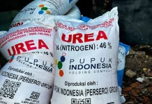 Tiga Negara Ajukan Impor Urea RI imbas Penutupan Selat Hormuz
