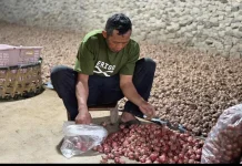 Petani di Boyalali 'Kewalahan ' Menerima Pesanan dari Dapur MBG