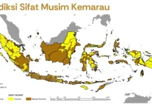 Kemarau 2026 Diprediksi Lebih Kering, BMKG: Perlunya Antisipasi sejak Dini