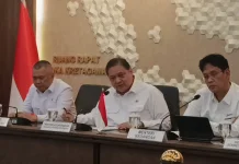 Menko Airlangga Sebut Harga Tiket Pesawat Domestik akan Naik hingga 13 Persen