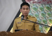 Wamendagri Tekankan Peran Daerah Percepat Eliminasi TBC