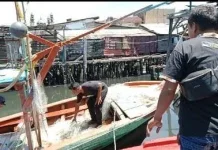 Hari Nelayan Nasional, Anggota DPR Ingatkan Peran Penjaga Kedaulatan Pangan Laut