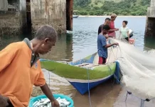 Penguatan Sektor Pangan Biru Diingatkan Beriringan Moderenisasi Perikanan