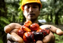 Komitmen BPDP dalam Riset Kelapa Sawit Diapresiasi