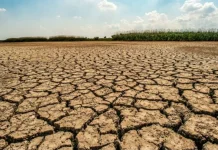 Mengenal Fenomena El Nino: Apa Saja Dampaknya?