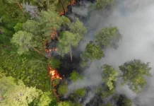 BPBD Kalbar Petakan 335 Daerah Berpotensi Karhutla Dampak El Nino "Godzilla"