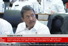 Sektor Perikanan Nasional Catat Pertumbuhan Positif di tengah Tekanan Global
