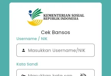 Cek Penerima Bansos Secara Online, Ini Panduannya