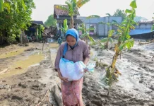 Keterlambatan Penanganan Dampak Banjir, Komisi IV DPR Khawatirkan Nasib Petani