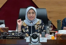 Komisi X DPR Akui Penting Tata Kelola Profesi Psikolog untuk Dunia Pendidikan