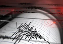 Gempa Magnitudo 4.7 Guncang NTT, BMKG Catat 48 Kali Gempa Susulan