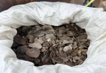 Gakkum Kehutanan Tangkap Pelaku Perdagangan Sisik Trenggiling di Medan